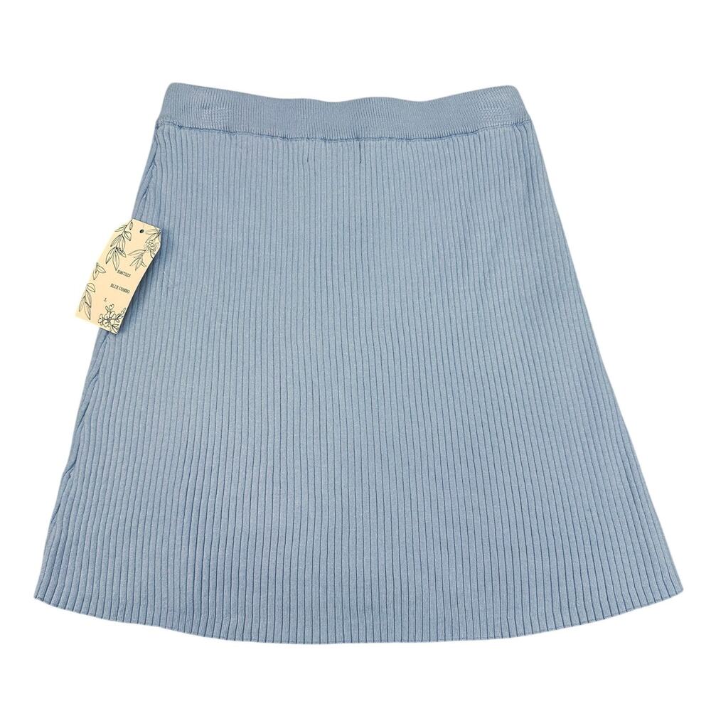 Willow & Wind Mini Pleated Skirt WMNS L Blue Stretch Pull On Rayon Blend S367523